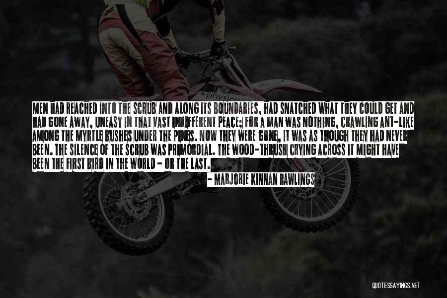 African Women Riders Quotes By Marjorie Kinnan Rawlings African Women Riders Quotes By Marjorie Kinnan Rawlings