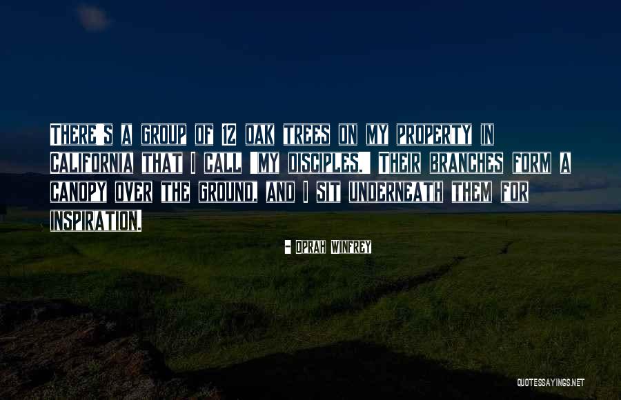 Afrikaanse Plaas Quotes By Oprah Winfrey Afrikaanse Plaas Quotes By Oprah Winfrey