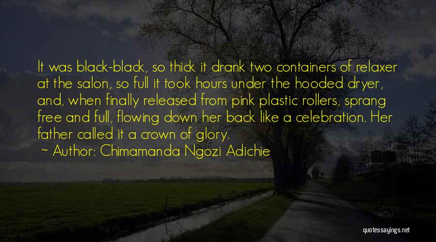Afro Hair Quotes By Chimamanda Ngozi Adichie