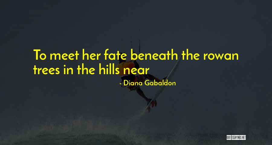 Afro Surrealist Salvador Quotes By Diana Gabaldon Afro Surrealist Salvador Quotes By Diana Gabaldon