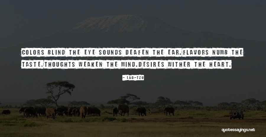 Afsaneh Bayegan Quotes By Lao-Tzu Afsaneh Bayegan Quotes By Lao-Tzu