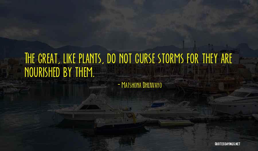 Afsin Haber Quotes By Matshona Dhliwayo Afsin Haber Quotes By Matshona Dhliwayo