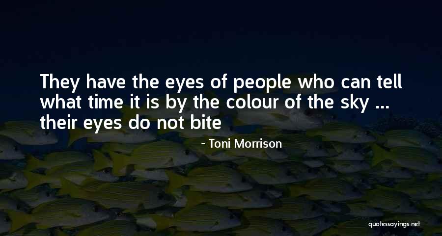 Aftab News Quotes By Toni Morrison Aftab News Quotes By Toni Morrison