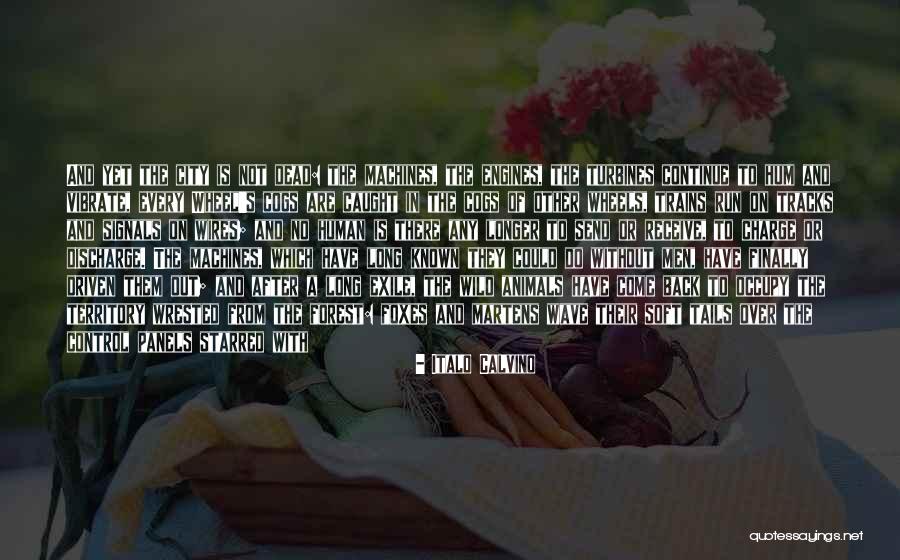 After A Long Run Quotes By Italo Calvino After A Long Run Quotes By Italo Calvino