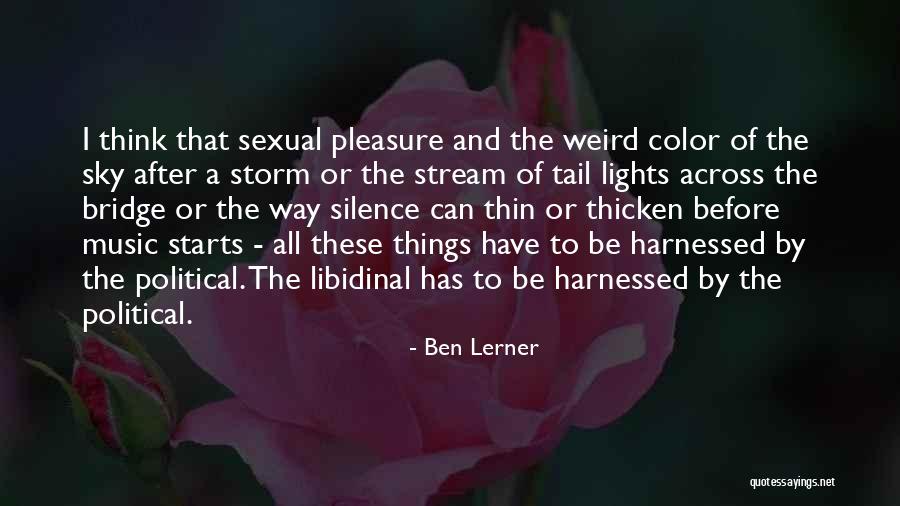 After A Storm Quotes By Ben Lerner