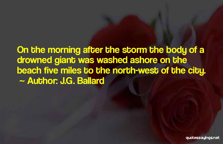 After A Storm Quotes By J.G. Ballard