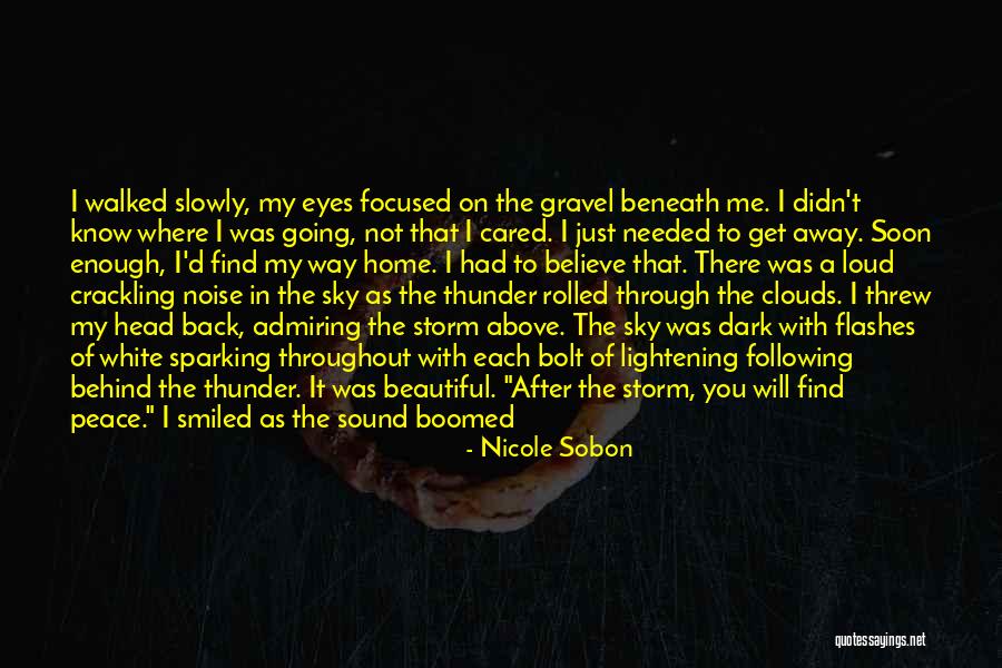 After A Storm Quotes By Nicole Sobon