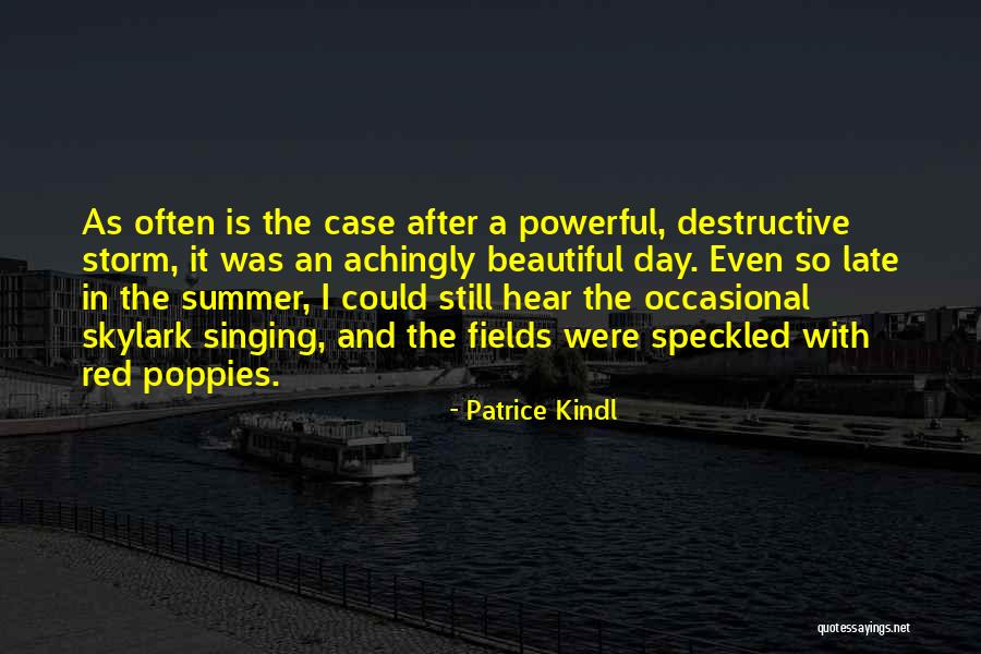 After A Storm Quotes By Patrice Kindl After A Storm Quotes By Patrice Kindl