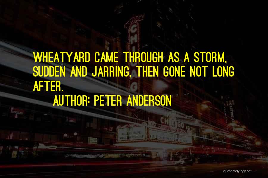 After A Storm Quotes By Peter Anderson