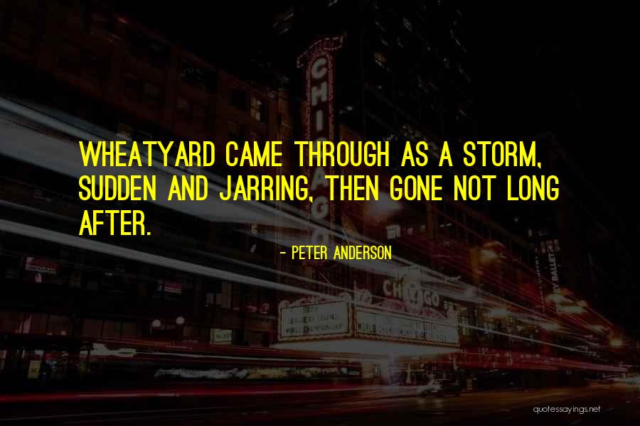 After A Storm Quotes By Peter Anderson