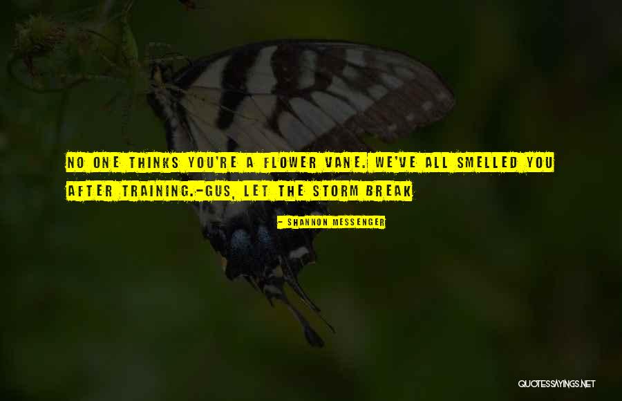 After A Storm Quotes By Shannon Messenger After A Storm Quotes By Shannon Messenger
