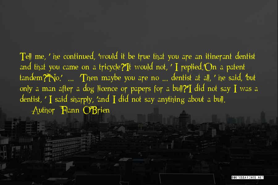 After All I Did For You Quotes By Flann O'Brien