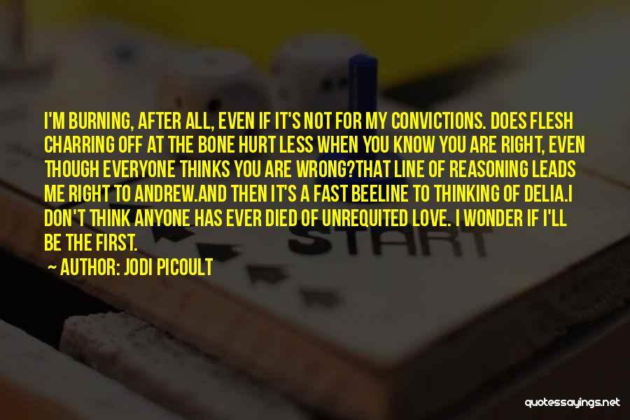 After All The Hurt Quotes By Jodi Picoult