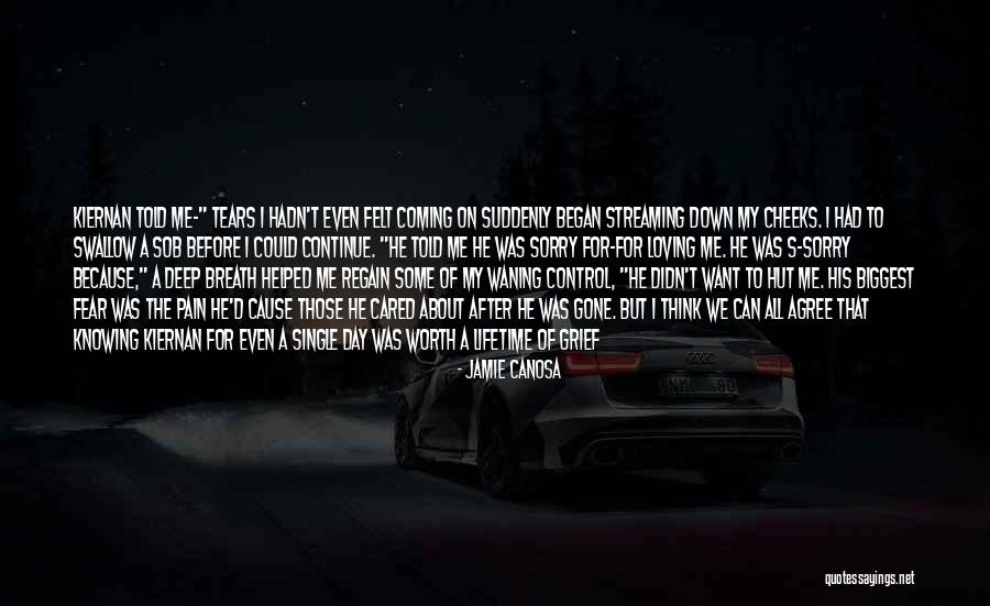 After All The Pain Quotes By Jamie Canosa After All The Pain Quotes By Jamie Canosa