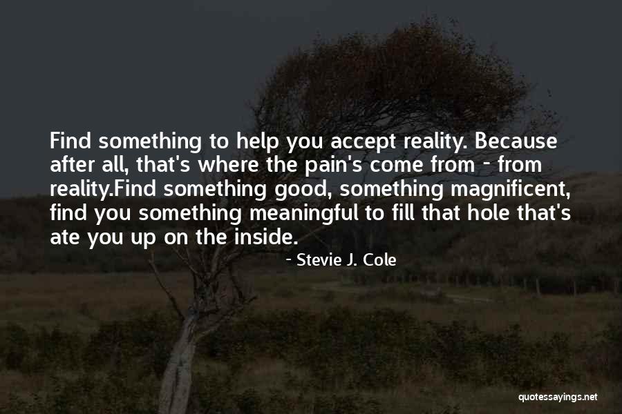 After All The Pain Quotes By Stevie J. Cole After All The Pain Quotes By Stevie J. Cole
