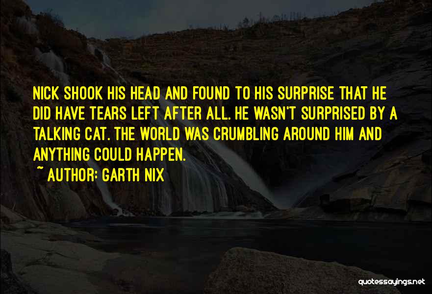 After All The Tears Quotes By Garth Nix