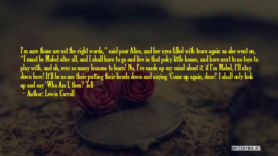 After All The Tears Quotes By Lewis Carroll