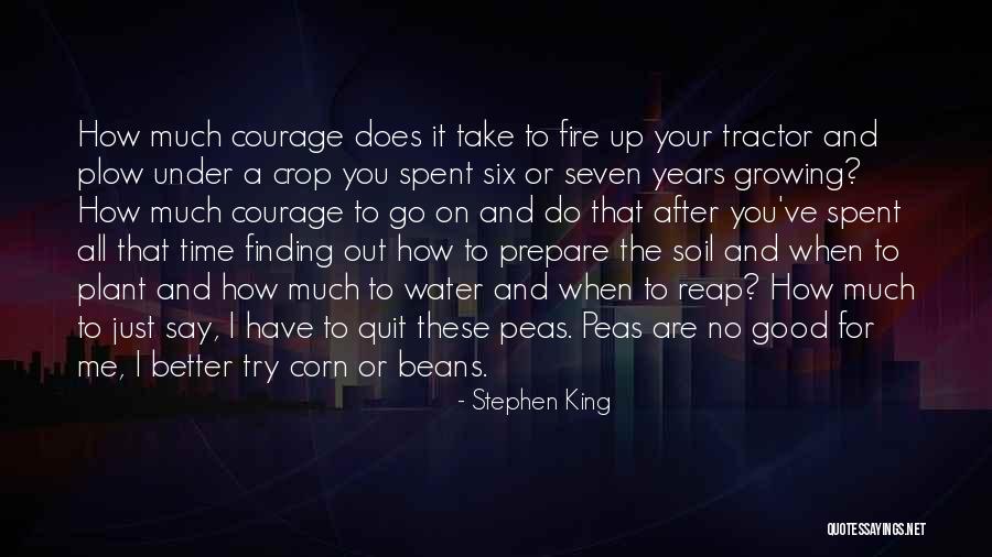 After All These Years Quotes By Stephen King