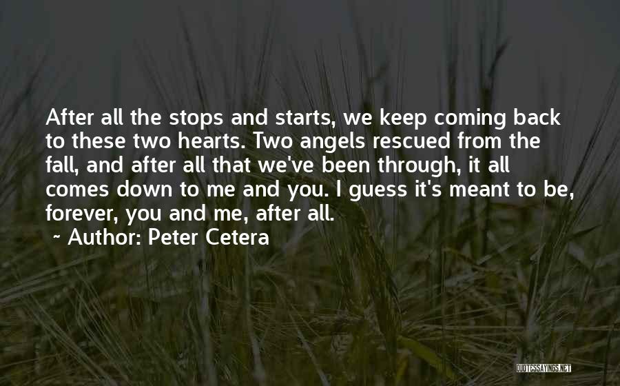After All We Been Through Quotes By Peter Cetera