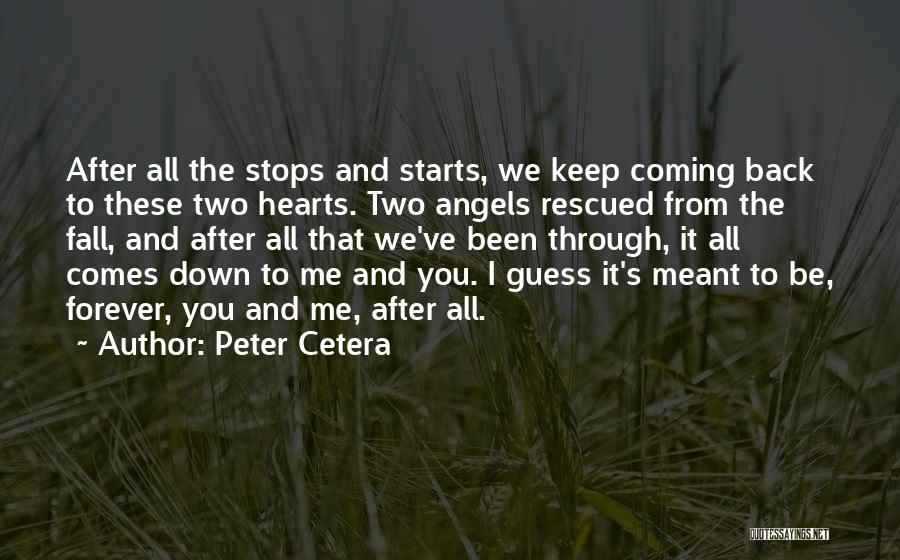 After All We've Been Through Quotes By Peter Cetera