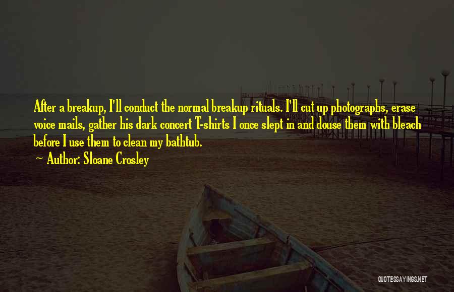 After Breakup Quotes By Sloane Crosley After Breakup Quotes By Sloane Crosley