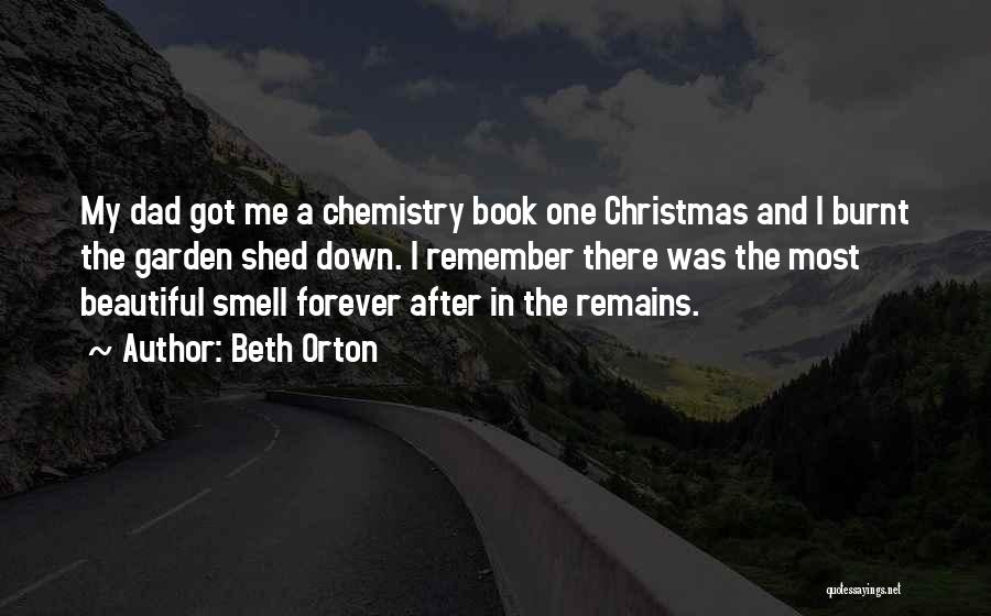 After Christmas Quotes By Beth Orton