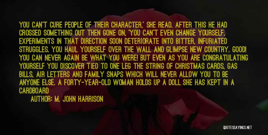 After Christmas Quotes By M. John Harrison