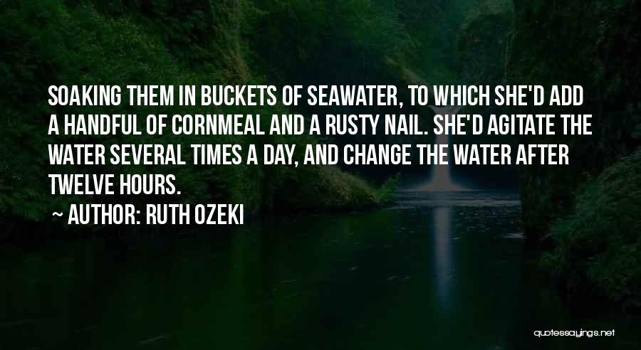 After D Day Quotes By Ruth Ozeki