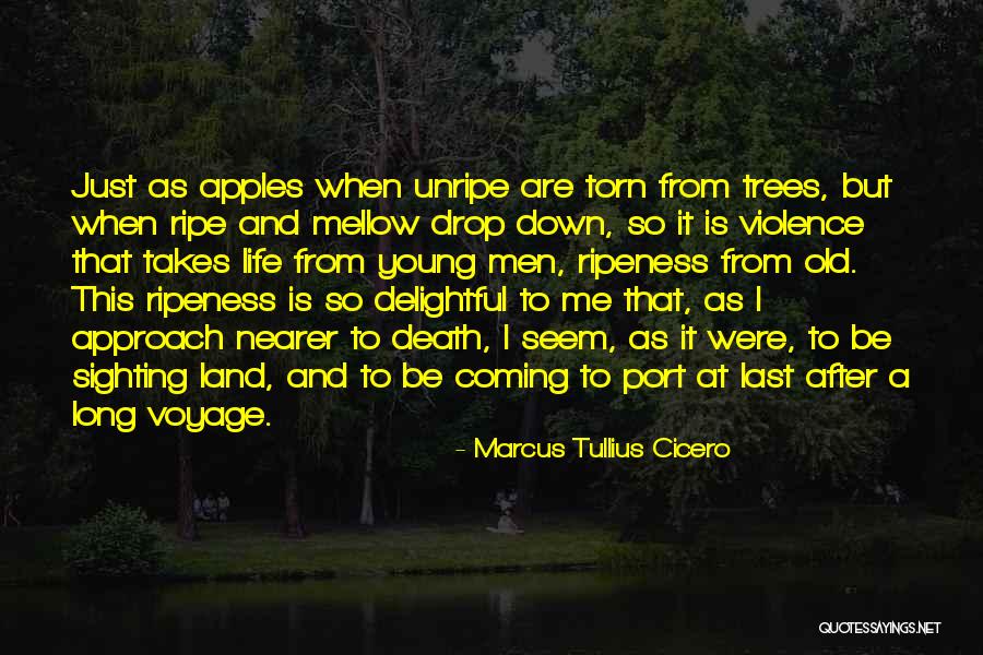 After Death Quotes By Marcus Tullius Cicero After Death Quotes By Marcus Tullius Cicero