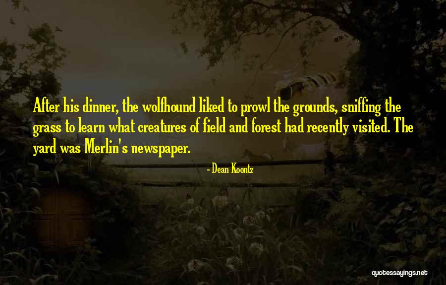 After Dinner Quotes By Dean Koontz After Dinner Quotes By Dean Koontz
