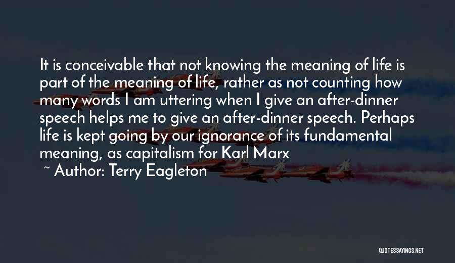 After Dinner Speech Quotes By Terry Eagleton