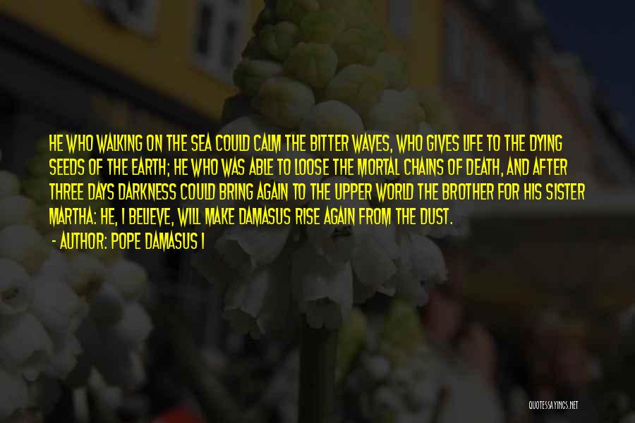 After Earth Quotes By Pope Damasus I