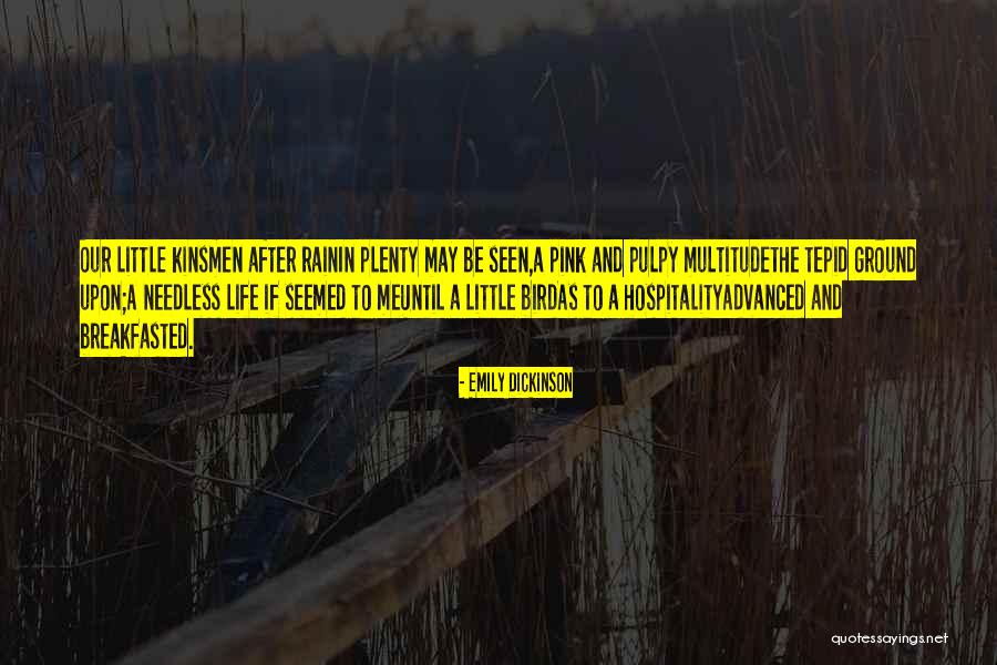 After Emily Dickinson Quotes By Emily Dickinson After Emily Dickinson Quotes By Emily Dickinson