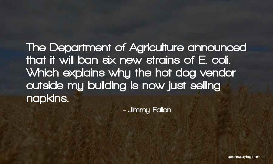After Every Struggle Quotes By Jimmy Fallon After Every Struggle Quotes By Jimmy Fallon