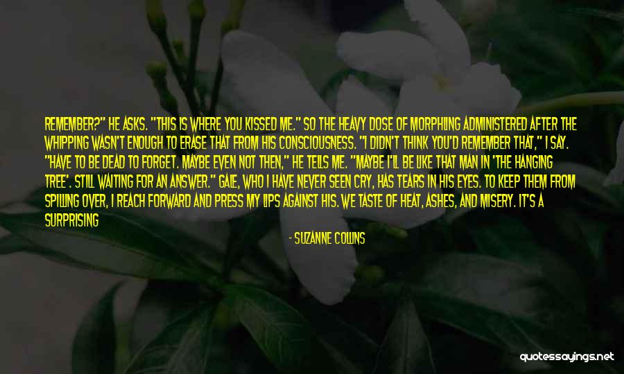 After First Kiss Quotes By Suzanne Collins After First Kiss Quotes By Suzanne Collins