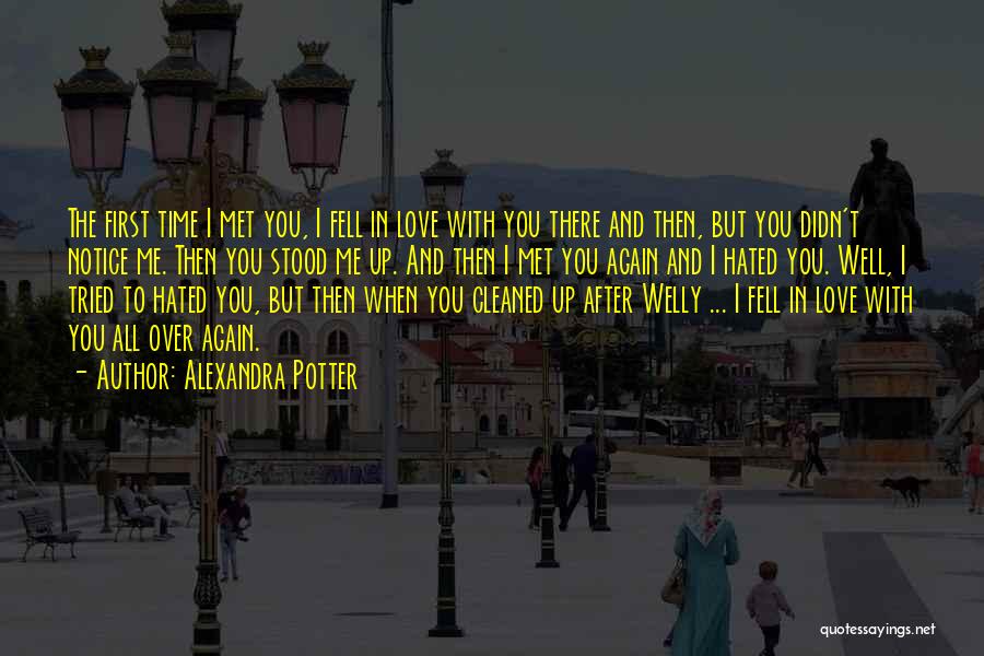 After I Met You Quotes By Alexandra Potter