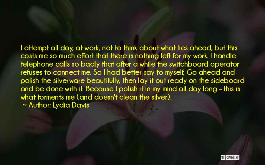 After Long Day Work Quotes By Lydia Davis