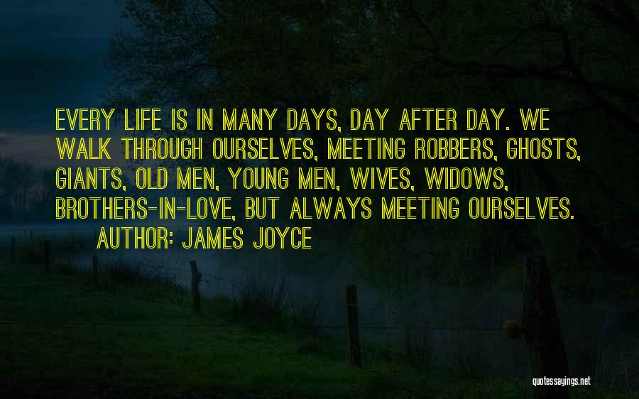 After Many Days Quotes By James Joyce