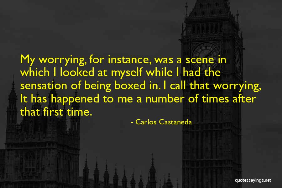 After Me Quotes By Carlos Castaneda