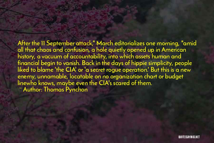 After Operation Quotes By Thomas Pynchon