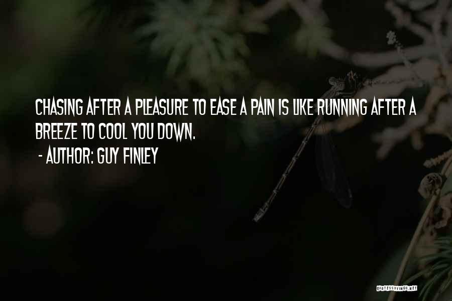 After Pain Quotes By Guy Finley