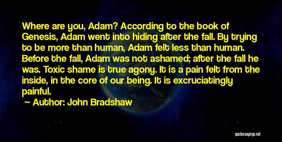 After Pain Quotes By John Bradshaw