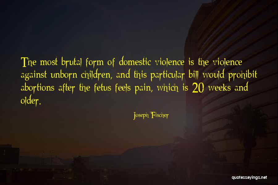 After Pain Quotes By Joseph Fischer