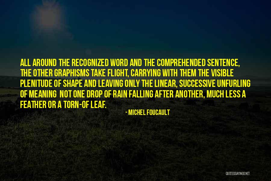 After Rain Quotes By Michel Foucault After Rain Quotes By Michel Foucault
