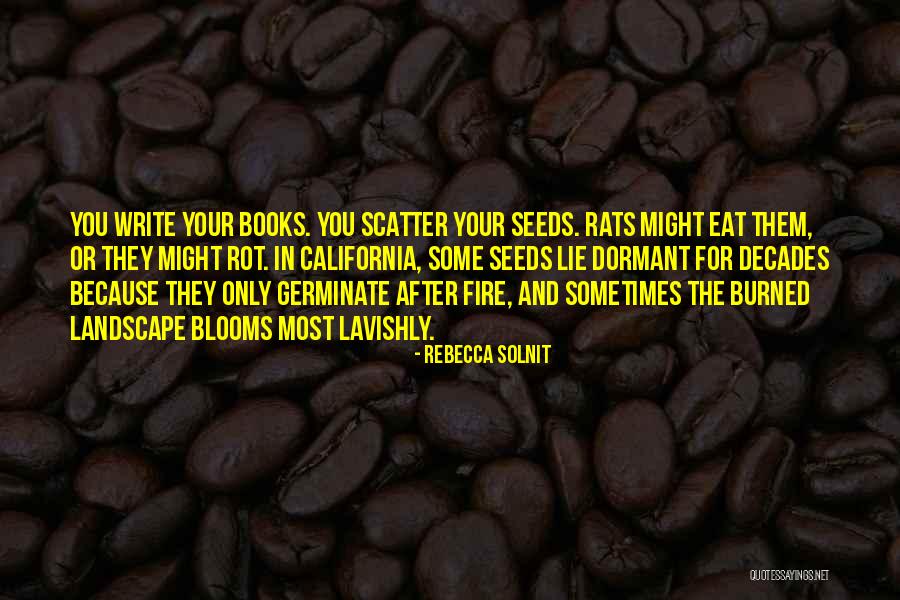 After Rats Eat Quotes By Rebecca Solnit After Rats Eat Quotes By Rebecca Solnit