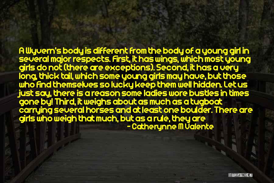 After Such A Long Time Quotes By Catherynne M Valente