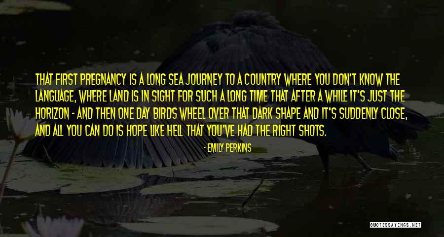 After Such A Long Time Quotes By Emily Perkins