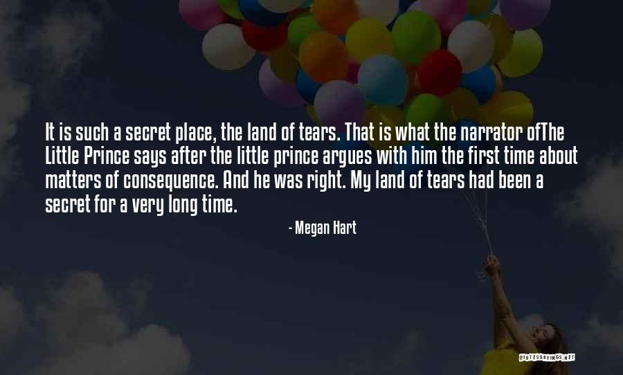 After Such A Long Time Quotes By Megan Hart