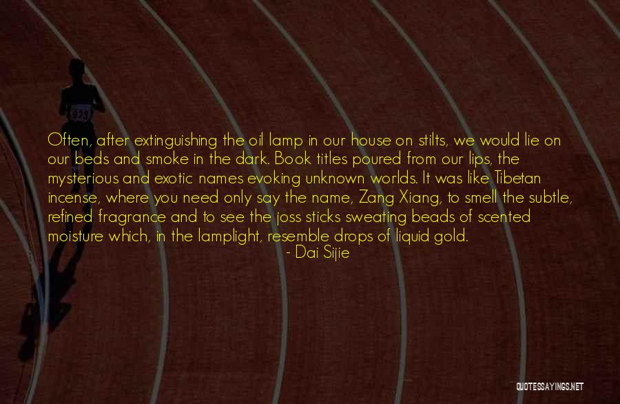 After The Dark Quotes By Dai Sijie After The Dark Quotes By Dai Sijie