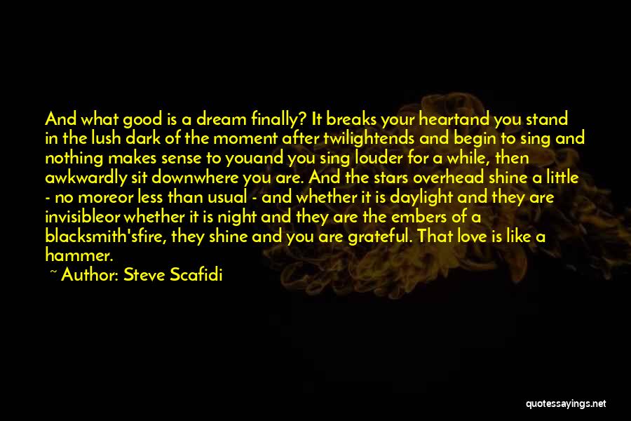 After The Dark Quotes By Steve Scafidi